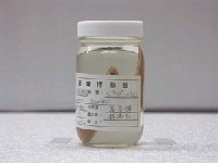 藏品(米克氏美體鰻)的圖片